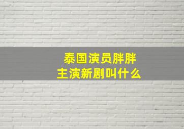 泰国演员胖胖主演新剧叫什么