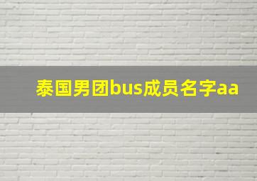 泰国男团bus成员名字aa