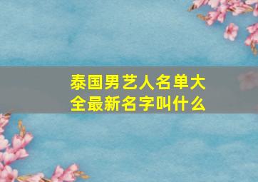 泰国男艺人名单大全最新名字叫什么