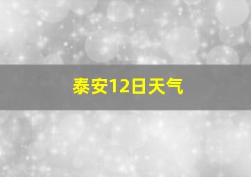 泰安12日天气