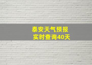 泰安天气预报实时查询40天