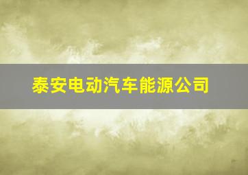 泰安电动汽车能源公司