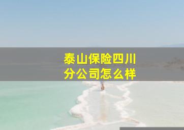 泰山保险四川分公司怎么样