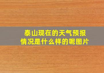 泰山现在的天气预报情况是什么样的呢图片