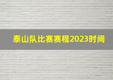 泰山队比赛赛程2023时间