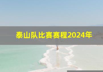 泰山队比赛赛程2024年