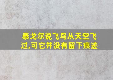 泰戈尔说飞鸟从天空飞过,可它并没有留下痕迹