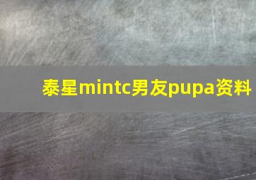 泰星mintc男友pupa资料