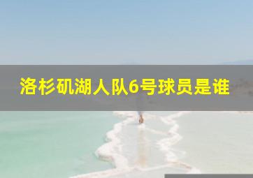 洛杉矶湖人队6号球员是谁