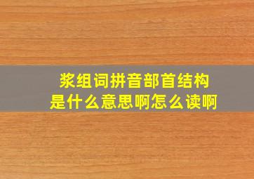 浆组词拼音部首结构是什么意思啊怎么读啊