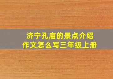 济宁孔庙的景点介绍作文怎么写三年级上册