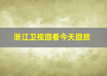 浙江卫视回看今天回放