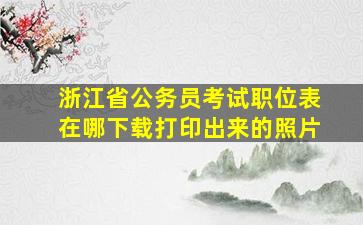 浙江省公务员考试职位表在哪下载打印出来的照片