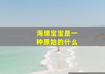 海绵宝宝是一种原始的什么