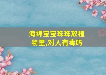 海绵宝宝珠珠放植物里,对人有毒吗