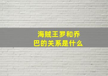 海贼王罗和乔巴的关系是什么