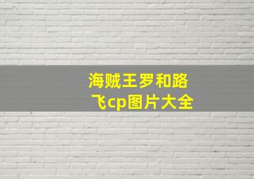 海贼王罗和路飞cp图片大全