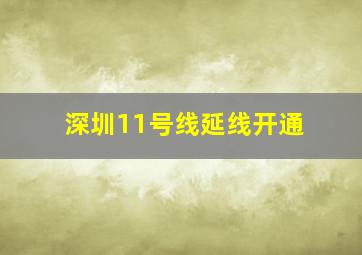 深圳11号线延线开通