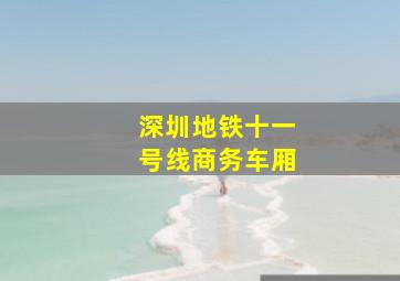 深圳地铁十一号线商务车厢