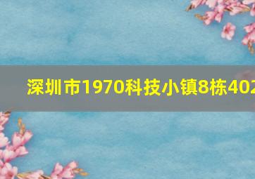 深圳市1970科技小镇8栋402