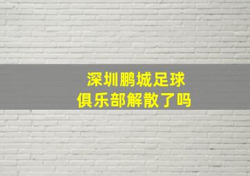 深圳鹏城足球俱乐部解散了吗