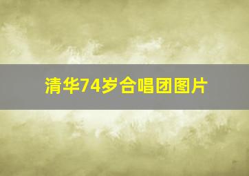 清华74岁合唱团图片