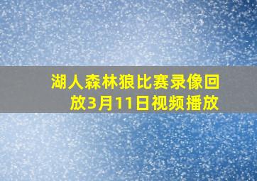 湖人森林狼比赛录像回放3月11日视频播放