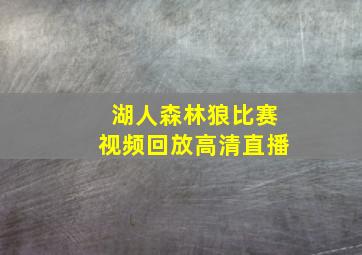 湖人森林狼比赛视频回放高清直播