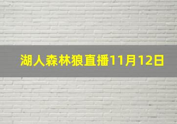 湖人森林狼直播11月12日