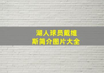 湖人球员戴维斯简介图片大全