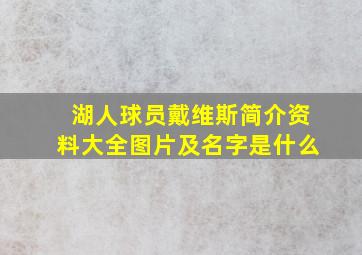 湖人球员戴维斯简介资料大全图片及名字是什么