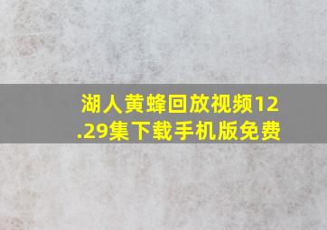 湖人黄蜂回放视频12.29集下载手机版免费