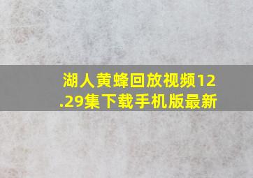 湖人黄蜂回放视频12.29集下载手机版最新