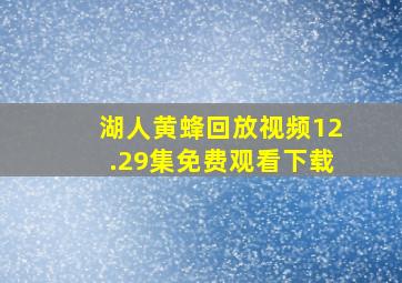 湖人黄蜂回放视频12.29集免费观看下载