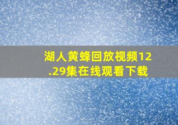 湖人黄蜂回放视频12.29集在线观看下载