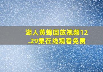 湖人黄蜂回放视频12.29集在线观看免费