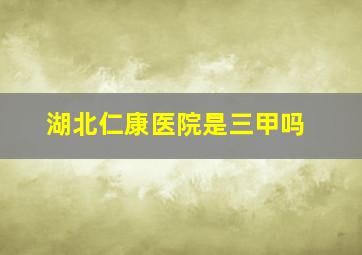 湖北仁康医院是三甲吗