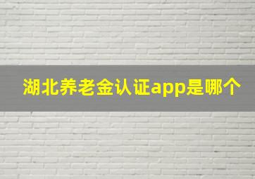 湖北养老金认证app是哪个