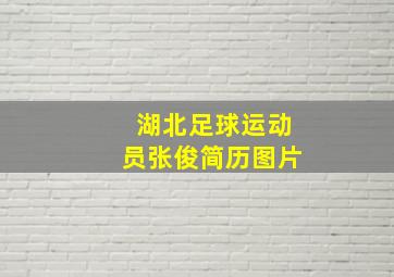 湖北足球运动员张俊简历图片