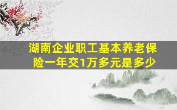 湖南企业职工基本养老保险一年交1万多元是多少