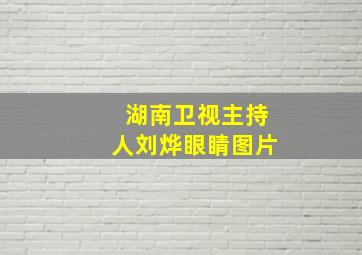 湖南卫视主持人刘烨眼睛图片