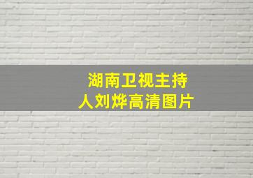 湖南卫视主持人刘烨高清图片