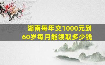 湖南每年交1000元到60岁每月能领取多少钱