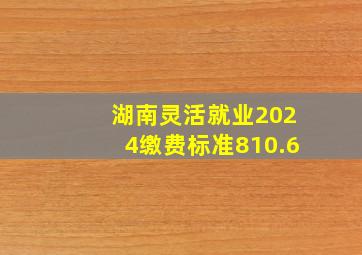 湖南灵活就业2024缴费标准810.6