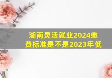 湖南灵活就业2024缴费标准是不是2023年低