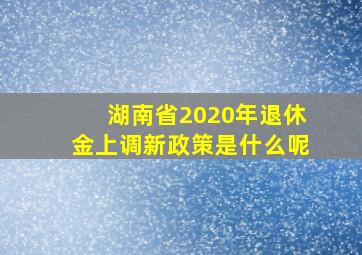 湖南省2020年退休金上调新政策是什么呢