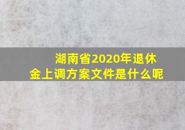 湖南省2020年退休金上调方案文件是什么呢