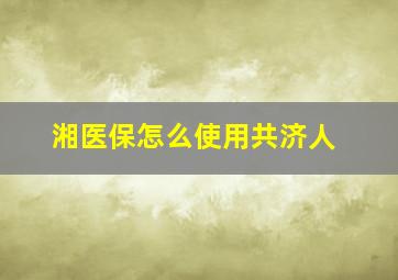 湘医保怎么使用共济人