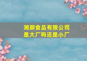 湘厨食品有限公司是大厂吗还是小厂