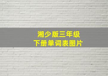 湘少版三年级下册单词表图片